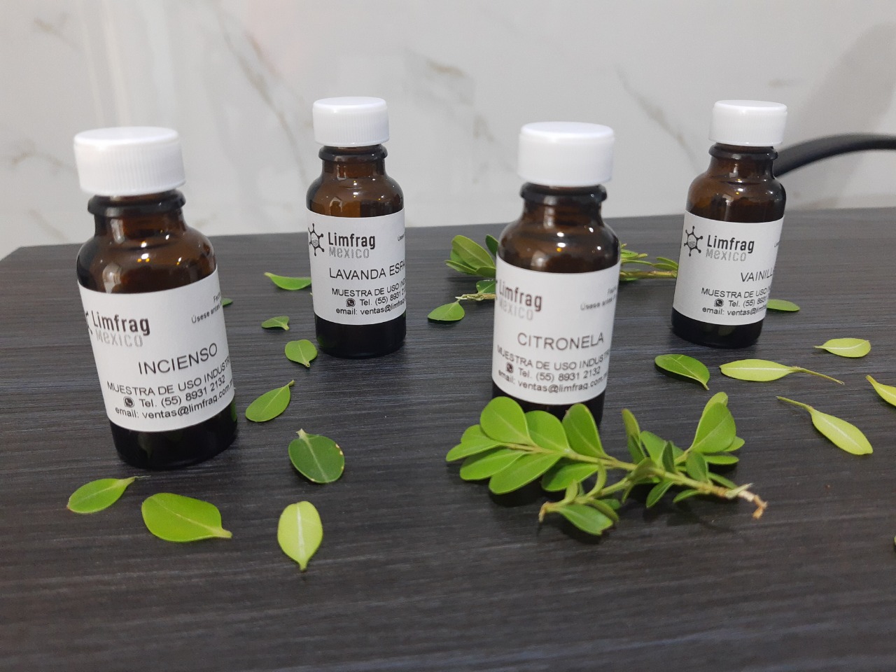 bridge and city view from one side of river